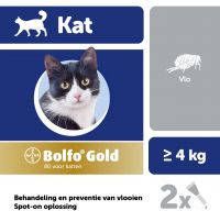 Bolfo 10% korting! Beschermingspakket half jaar indoor katten vanaf 4 kg